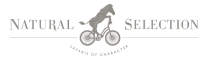 64e4fb6c5ad26a8f36f08f57_Natural Selection Safaris of Character logo 1